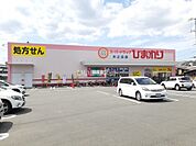 【ドラッグストア】ひまわり木之庄店まで363ｍ