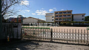 【小学校】北九州市立　若園小学校まで231ｍ