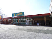 【スーパー】スーパーイワキ 久御山店まで3519ｍ
