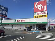 【ドラッグストア】スギ薬局津白塚店まで1620ｍ