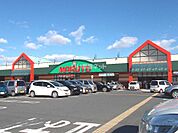 【スーパー】マルトSC城東店まで5069ｍ