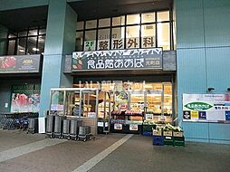 [周辺] 【スーパー】食品館あおば 元町店まで298ｍ