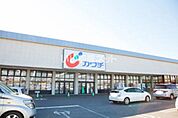 【ドラッグストア】カワチ薬品（藤代バイパス）まで1587ｍ