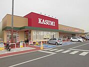 【スーパー】カスミ　富士見ヶ丘店まで1086ｍ