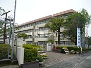 【小学校】鹿児島市立清和小学校まで290ｍ