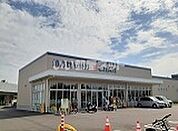 【ドラッグストア】クリエイトSD(エス・ディー) 平塚寺田縄店まで1533ｍ