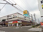 【ショッピングセンター】MEGAドン・キホーテUNY敦賀店まで473ｍ