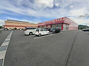 【ドラッグストア】ディスカウントドラッグコスモス院庄店まで831ｍ