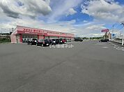 【ドラッグストア】ドラックストアコスモス二宮店まで1429ｍ