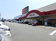 【ホームセンター】DCMカーマ　津新町店まで982ｍ