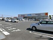 【ドラッグストア】ウエルシア日立金沢店まで283ｍ