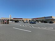 【スーパー】ヨークベニマル日立会瀬店まで253ｍ