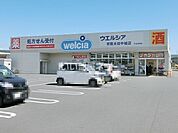 【ドラッグストア】ウエルシア常陸太田中城店まで600ｍ