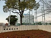 【大学】福岡歯科大学まで2263ｍ