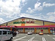 【ドラッグストア】ドラックストアモリ　植木店まで1021ｍ