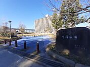 【公園】白藤公園まで1419ｍ