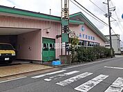 【保育園】幼稚園型認定こども園早通みずほ幼稚園まで2939ｍ