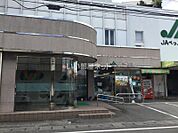 【市役所・区役所】別府市役所出張所まで1419ｍ