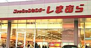 【その他】しまむら綱島東店まで918ｍ