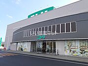 【インテリア】ニトリ 福山西店まで1272ｍ