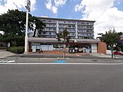 【コンビニエンスストア】セブンイレブン神戸魚崎北町4丁目店まで148ｍ