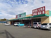 【ドラッグストア】ドラッグセイムス 鳥羽船津店まで3743ｍ