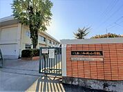 【小学校】福岡市立西新小学校まで17ｍ