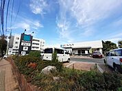 【スーパー】サニー堤店まで495ｍ