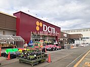 【ホームセンター】DCM新明店まで972ｍ
