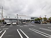 【ドラッグストア】チャーリー沖浜店まで1651ｍ