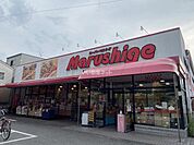 【スーパー】マルシゲ 東大阪島之内店まで1155ｍ