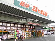 【ディスカウントショップ】ジャパン 橿原店まで186ｍ