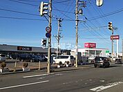 【ホームセンター】ホーマック 三内店まで593ｍ