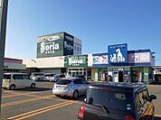 【その他】Seria(セリア) 青森コスモス店まで563ｍ