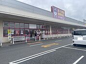 【ドラッグストア】クスリ岩崎チェーン イオン小野田店まで3390ｍ