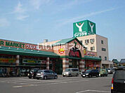 【スーパー】グルメ館福井南店まで1292ｍ