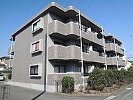 静岡県富士市一色44-5：物件画像／ハウスコム静岡株式会社　富士店