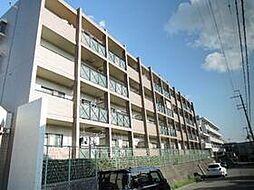 プリムベール向丘 405