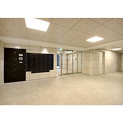 17 / 31