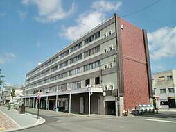 豊橋鉄道東田本線 新川駅 徒歩3分の賃貸マンション