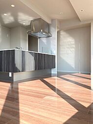 川崎ゲートタワー 1302