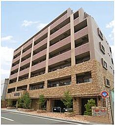 東急多摩川線 武蔵新田駅 徒歩7分の賃貸マンション