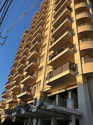 コットンアイランドアルテ