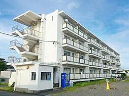 名鉄竹鼻線 須賀駅 徒歩11分の賃貸マンション