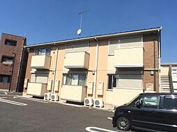 ウエリントン 201