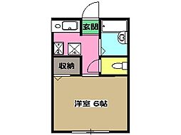 ファンテーヌメゾン片倉 1階ワンルームの間取り