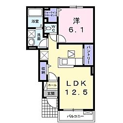 プラシードＣ 1階1LDKの間取り