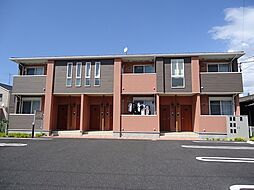 サンフラワー 203