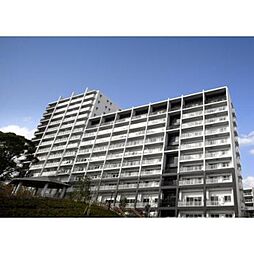 都電荒川線 西ヶ原四丁目駅 徒歩4分の賃貸マンション