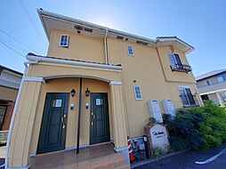 セントポーリア